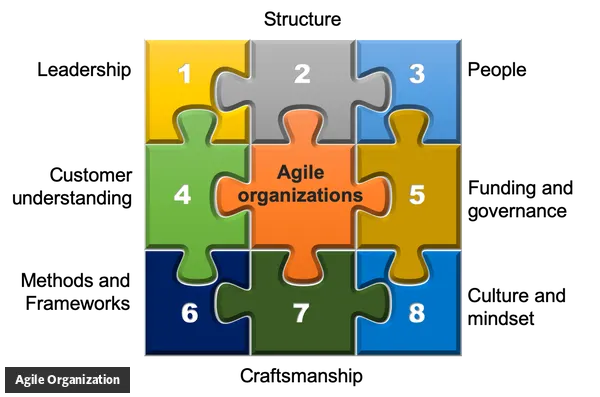 What is Agile Organization