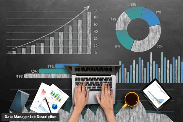 Data Manager Job Description Template