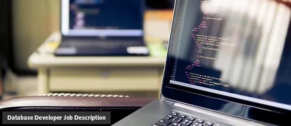 Database Developer job description