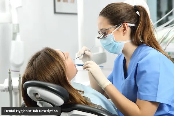 Dental Hygienist Job Description Template