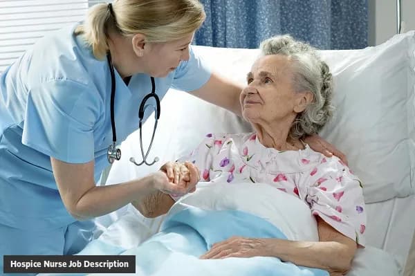 Hospice Nurse Job Description Template