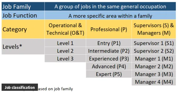 What is Job classification