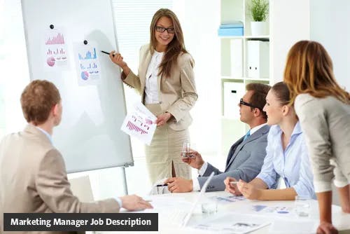 Marketing Manager Job Description Template