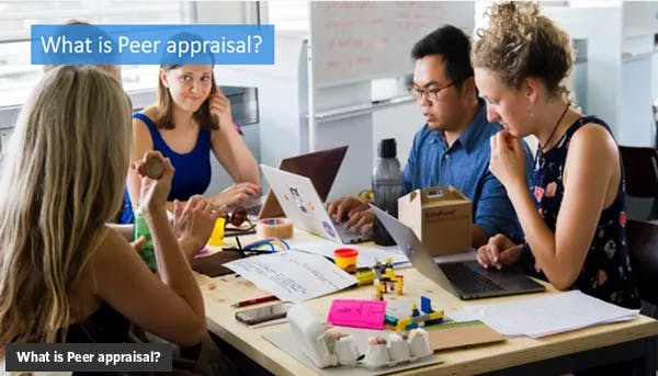 What is Peer appraisal