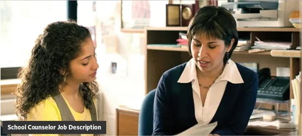 School Counselor job description