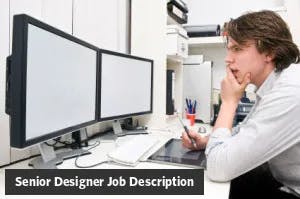 Senior Designer Job Description Template