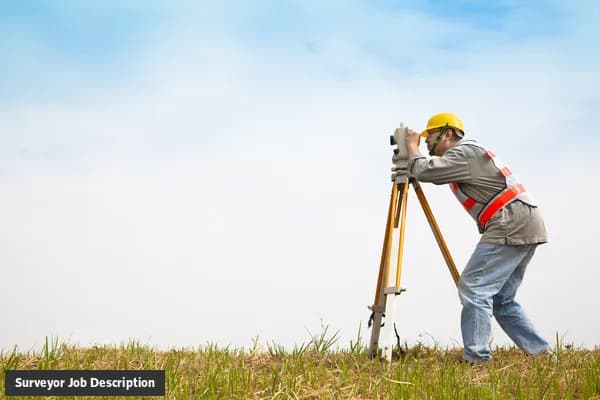 Surveyor job description