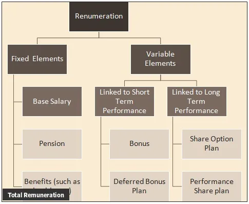 What is Total Remuneration