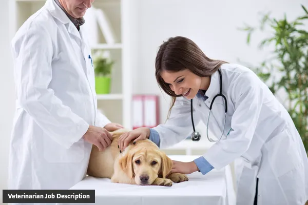 Veterinarian job description