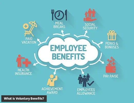 What is Voluntary Benefits